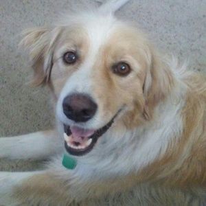 Meet your Posher, Bill